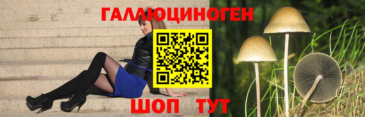 Псилоцибиновые грибы Magic Shrooms Ейск